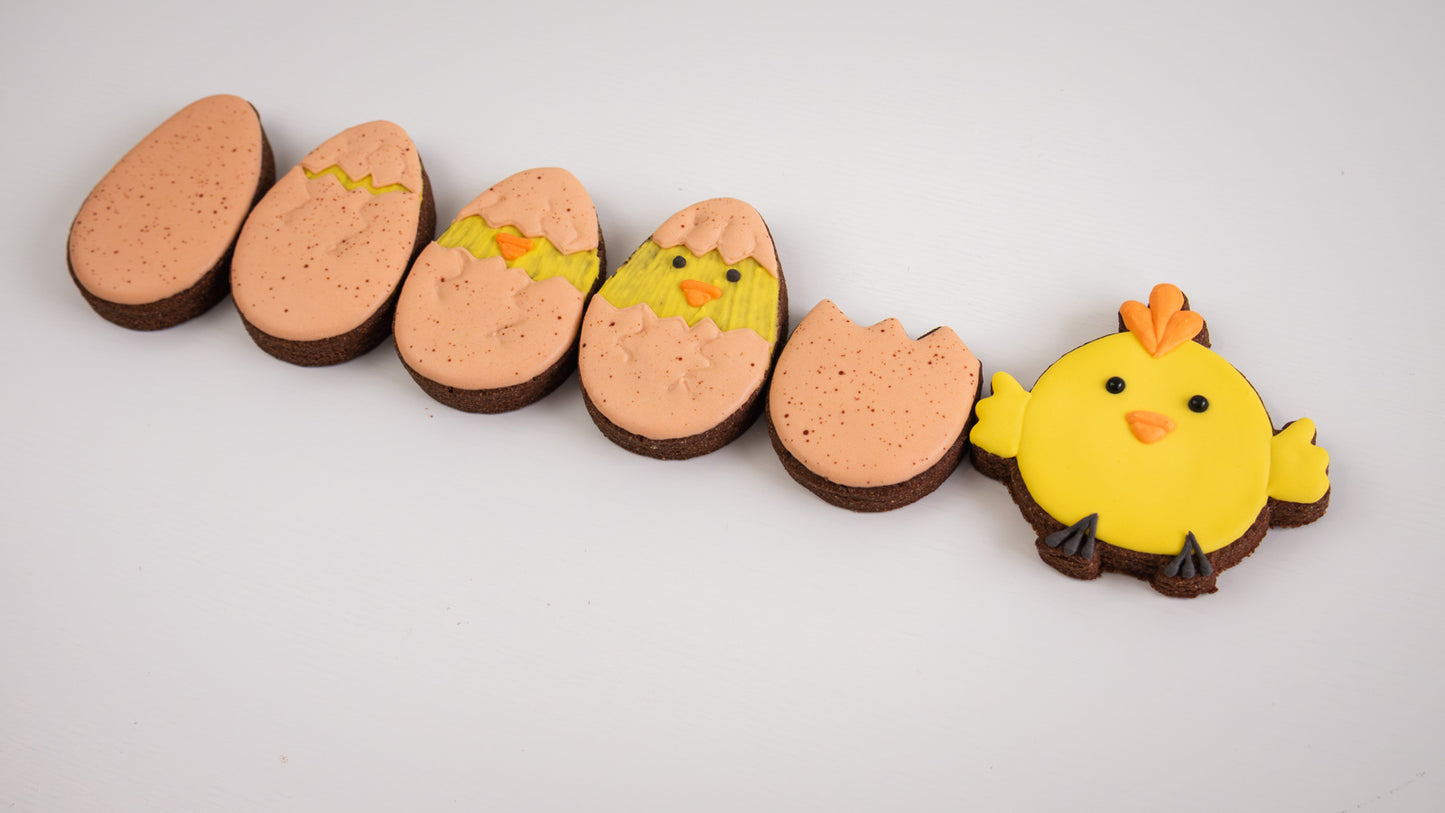 Coffret de 6 biscuits | La naissance de Petit Piou