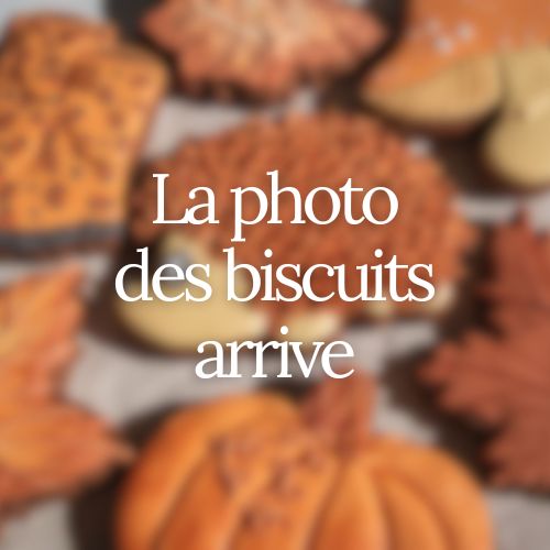 Atelier biscuits | Automne | Ado ou adulte | Avec Lisa