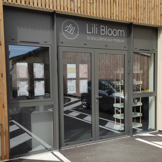 Formation en présentiel Biscuits Décorés et Glaçage Royal en Gironde - 11 & 12 OCTOBRE 2025